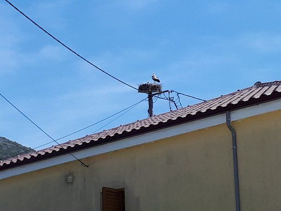 Ενετικό Κάστρο Πάργας